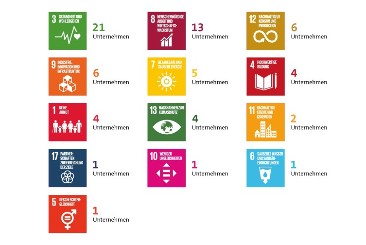 Abbildung der 13 SDG-Piktogramme, die durch die Tätigkeit von IBB Ventures berührt werden.